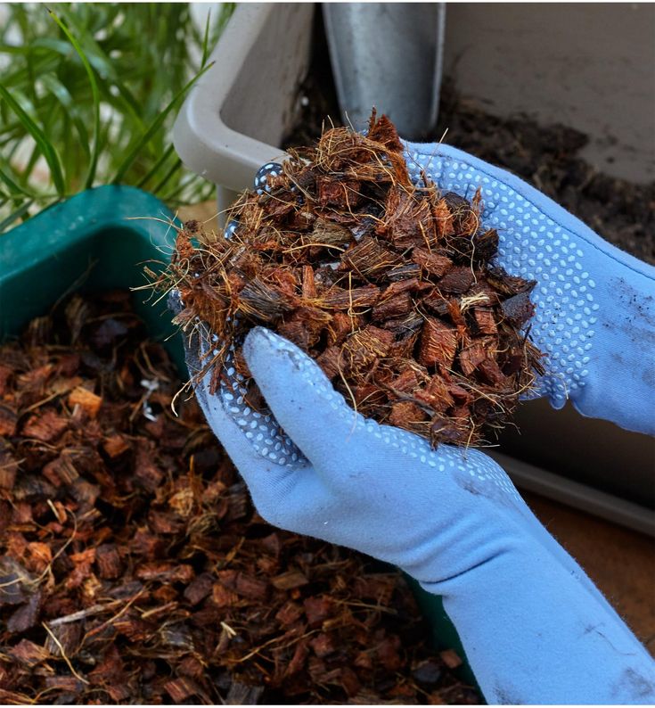 Coconut Husk Chips