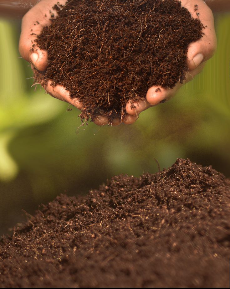 Coconut Husk Peat